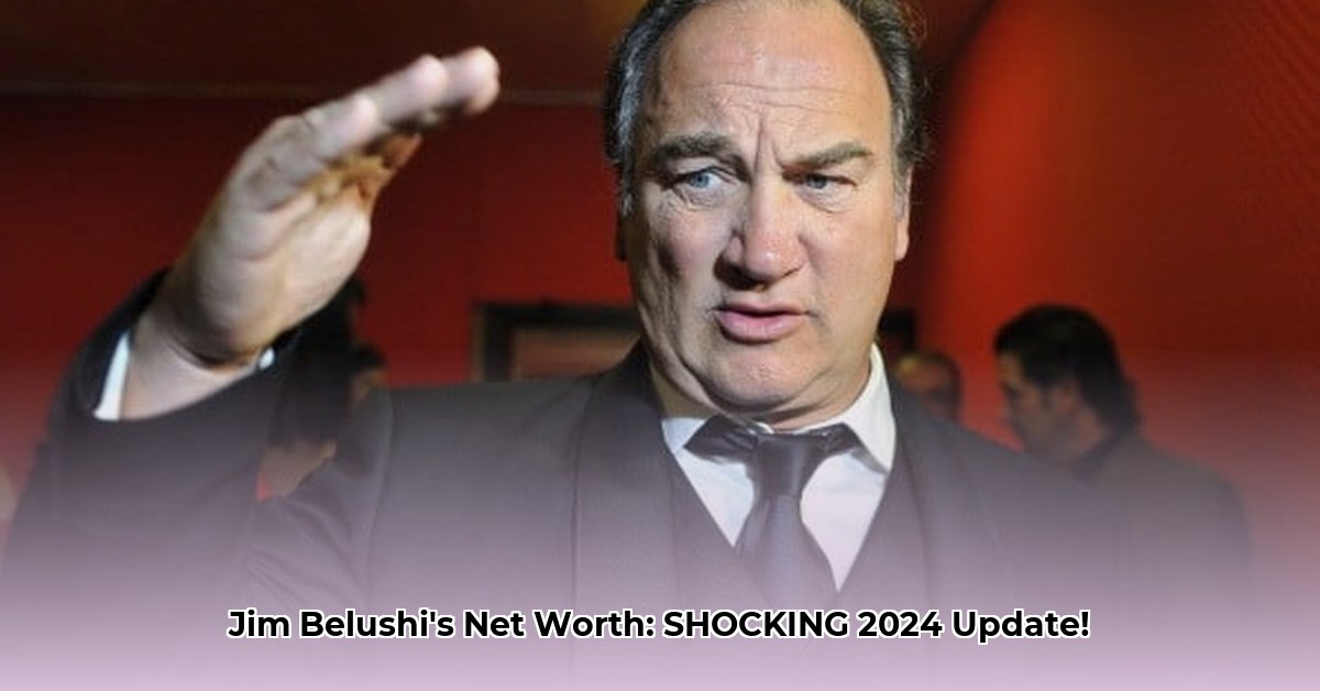 jim-belushi-s-net-worth